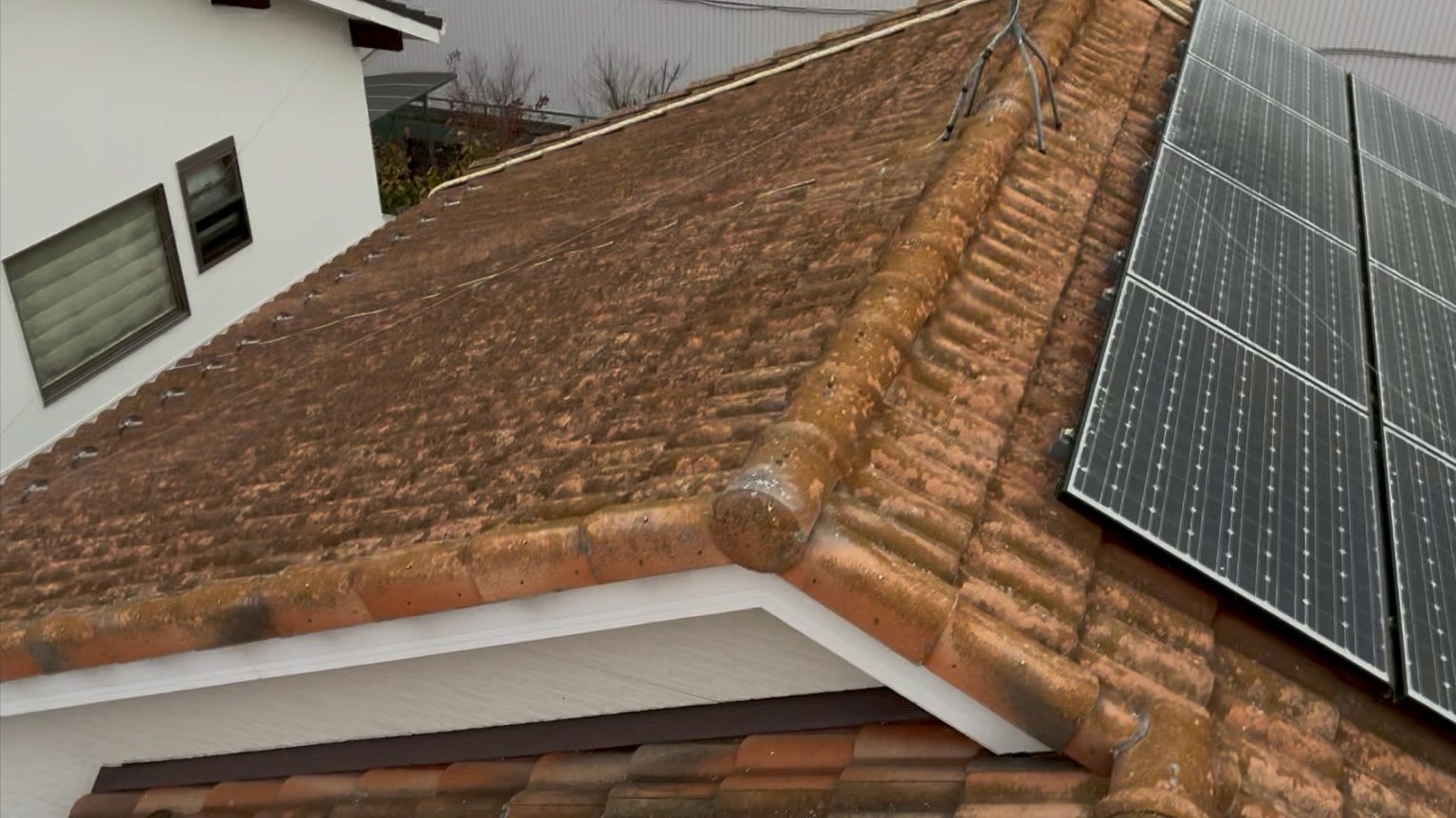 太陽光の載った色褪せたモニエル瓦